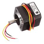 Texas Instruments LVBLDCMTR 확대된 이미지